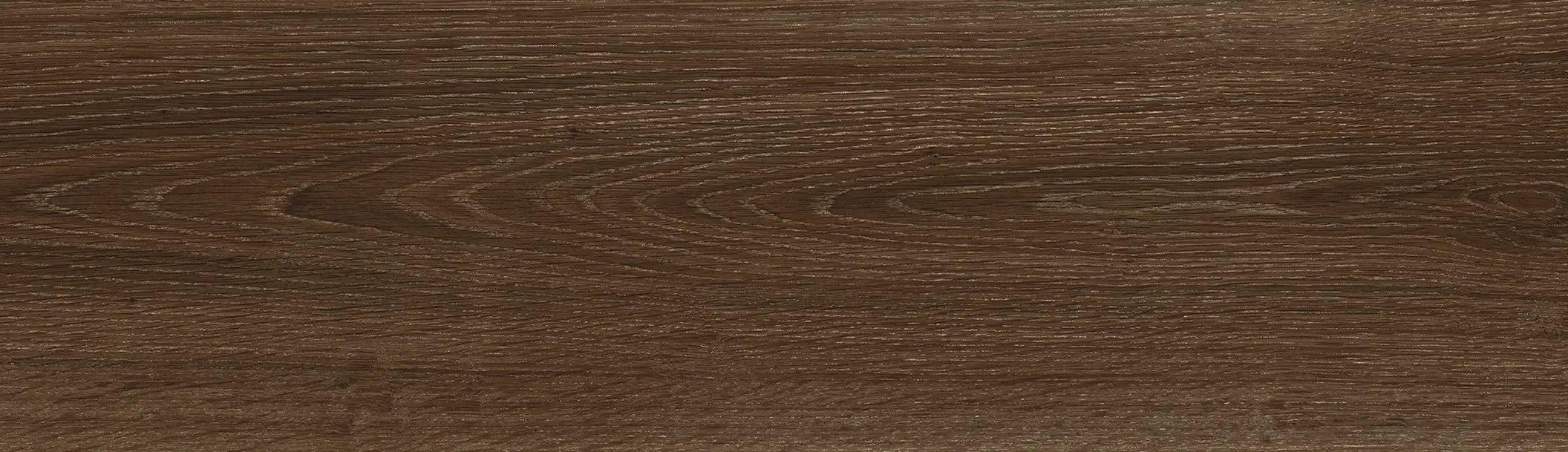 Brown 03 02 03 F4 copy 2