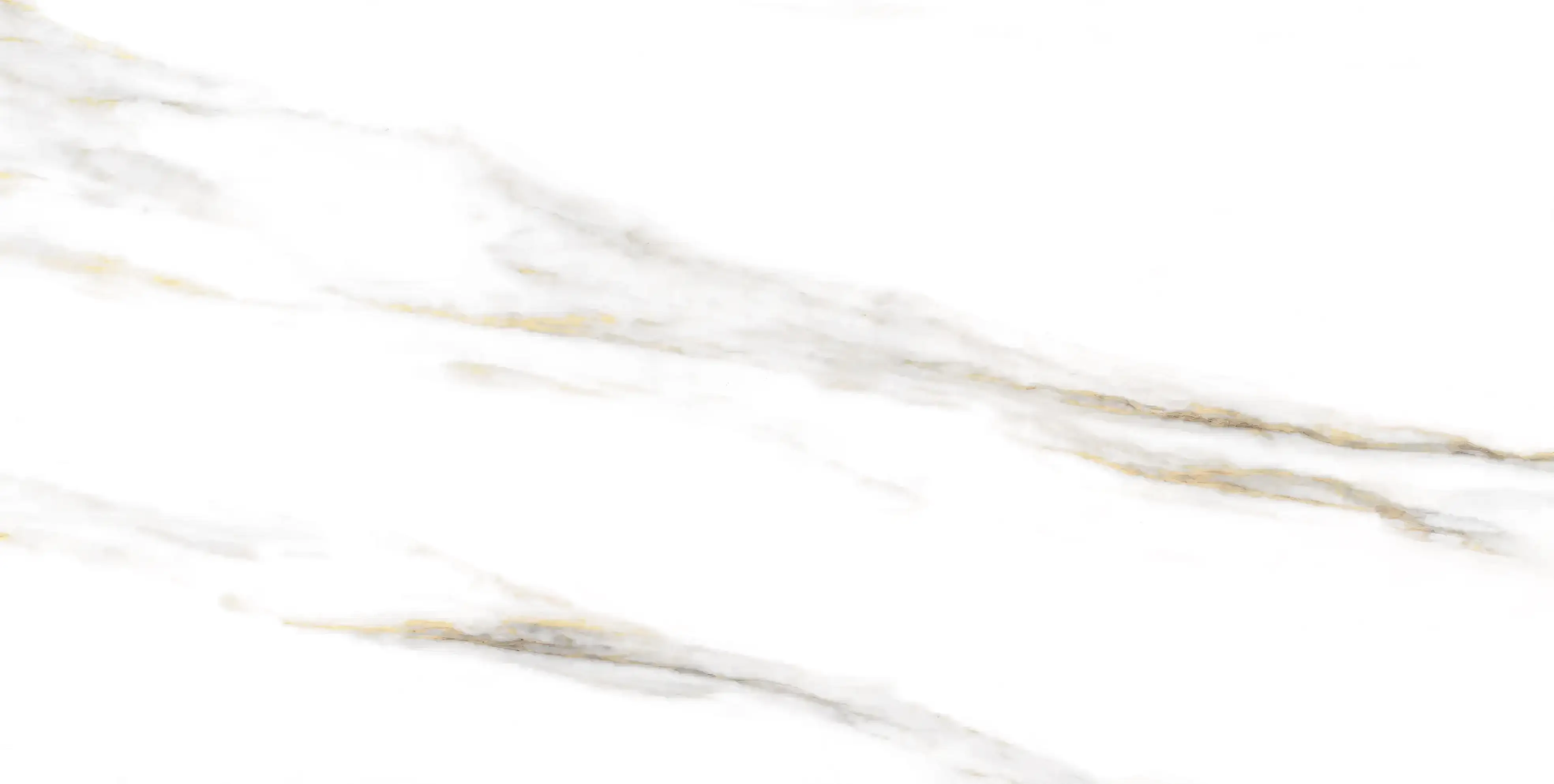 C00 whit F1 N5 27-08-2025 Fine Rip copy