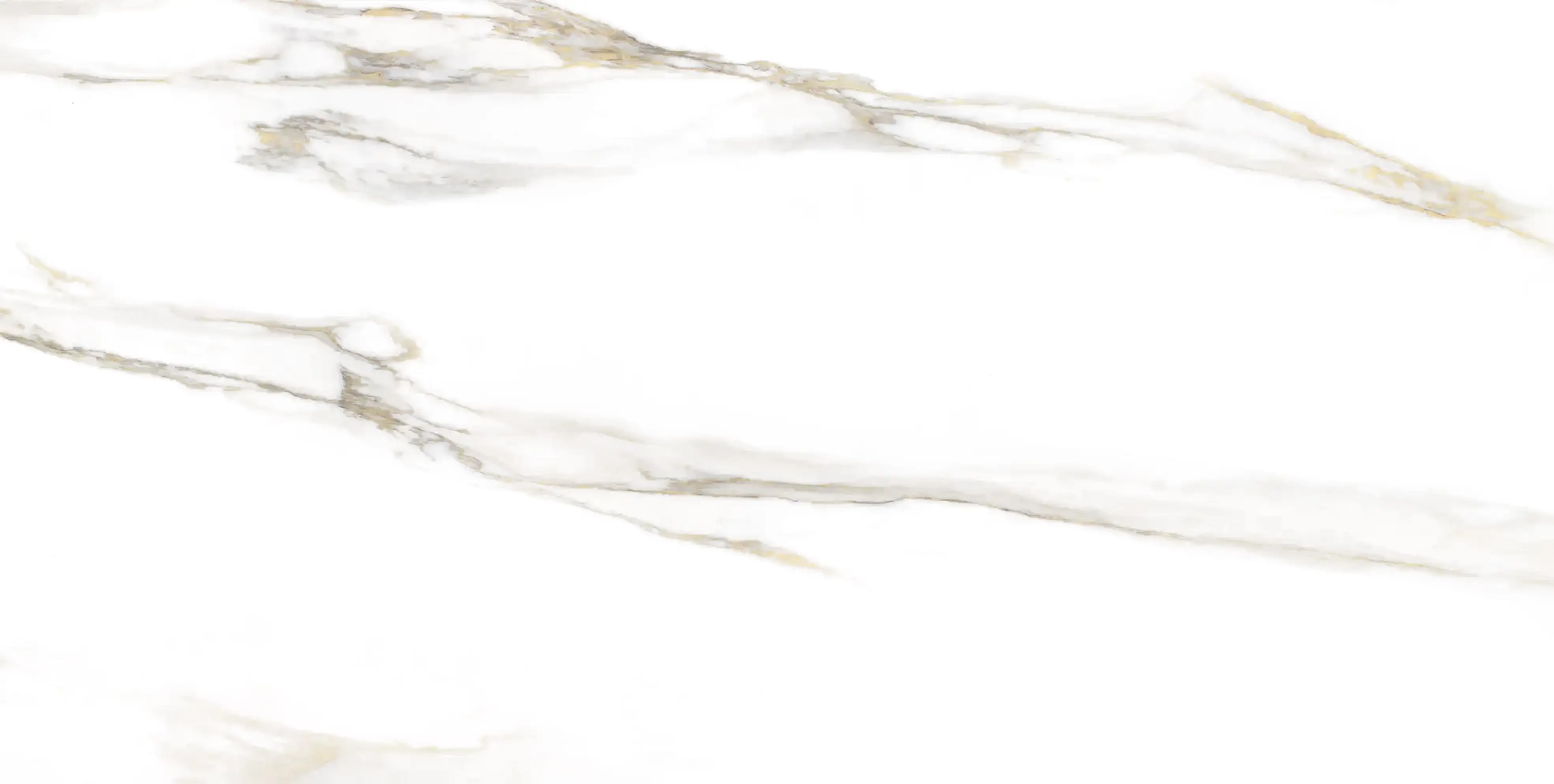 C00 whit F2 N5 27-08-2025 Fine Rip copy