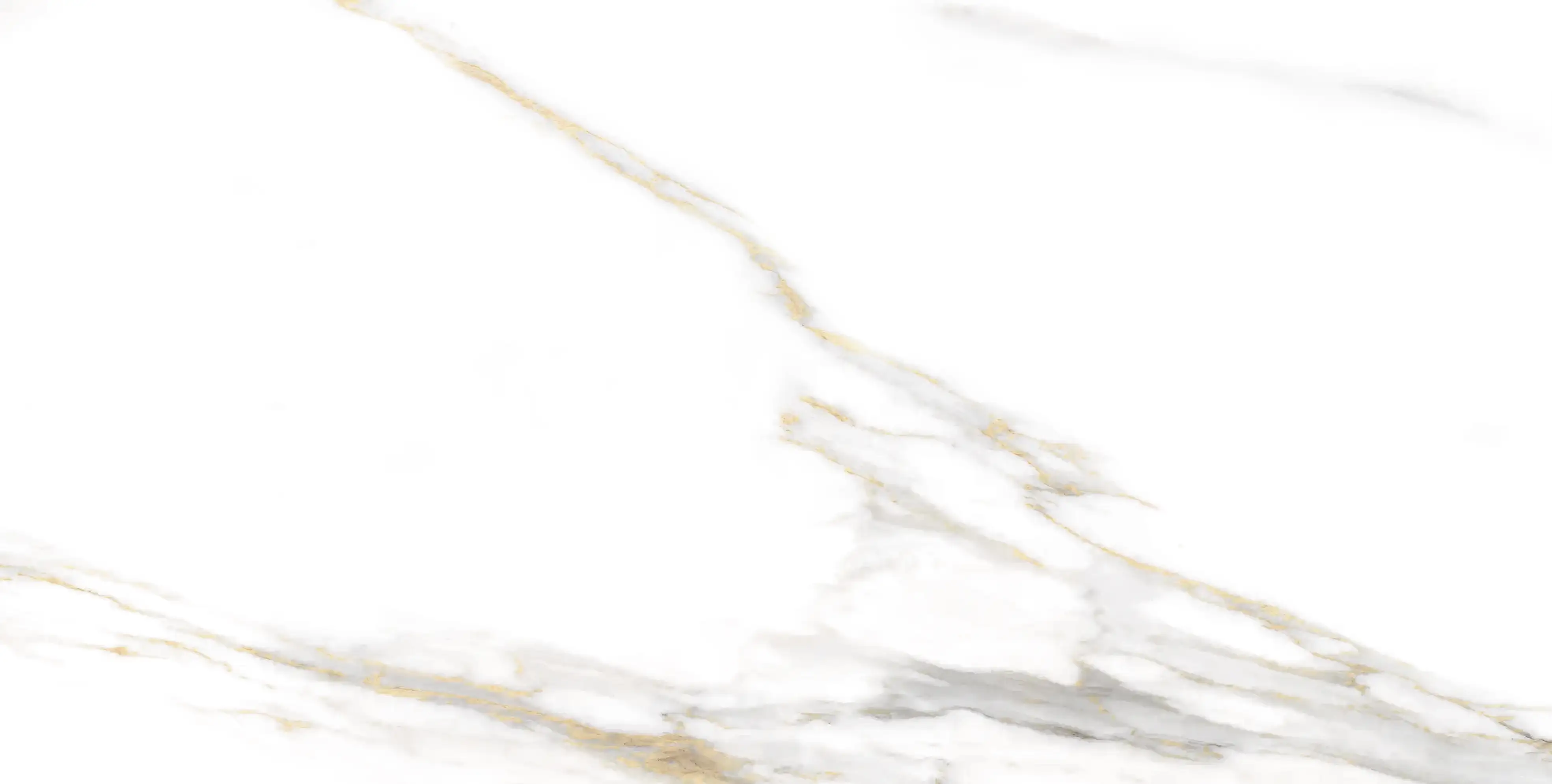 C00 whit F3 N5 27-08-2025 Fine Rip copy