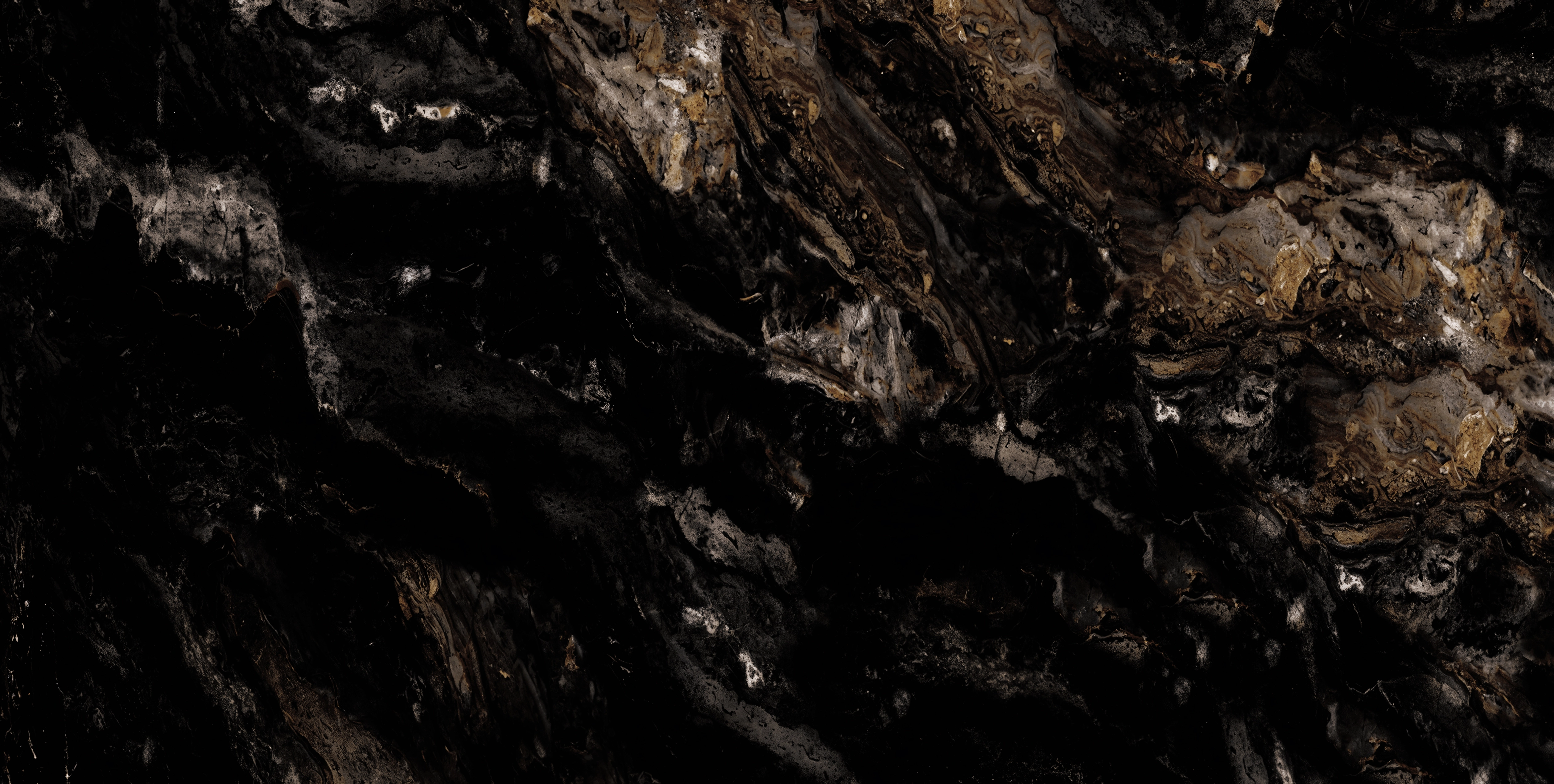 Dakar Natural-N5-17-12-2025 F2 Fine Polish Rip copy 3